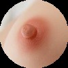 #1 Areolas 