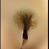 Brown Trimmed Pubic Hair  + $55.00 